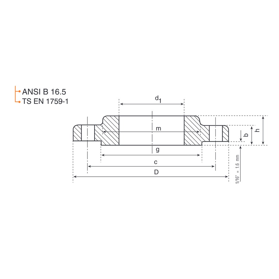 Düz Geçme Flanş ASA 300 LB